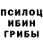 Псилоцибиновые грибы Psilocybe Pixel shark