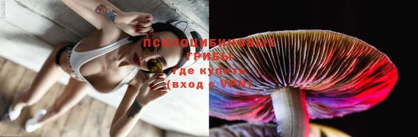 шишки Армянск