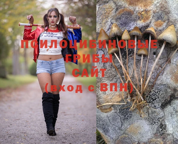 спиды Арсеньев