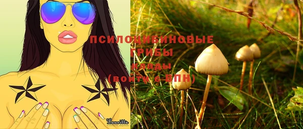 шишки Армянск
