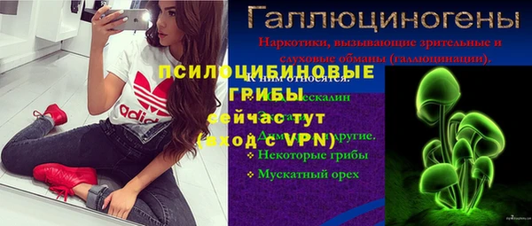 Альфа ПВП Аркадак