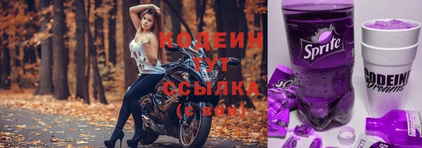 спиды Арсеньев